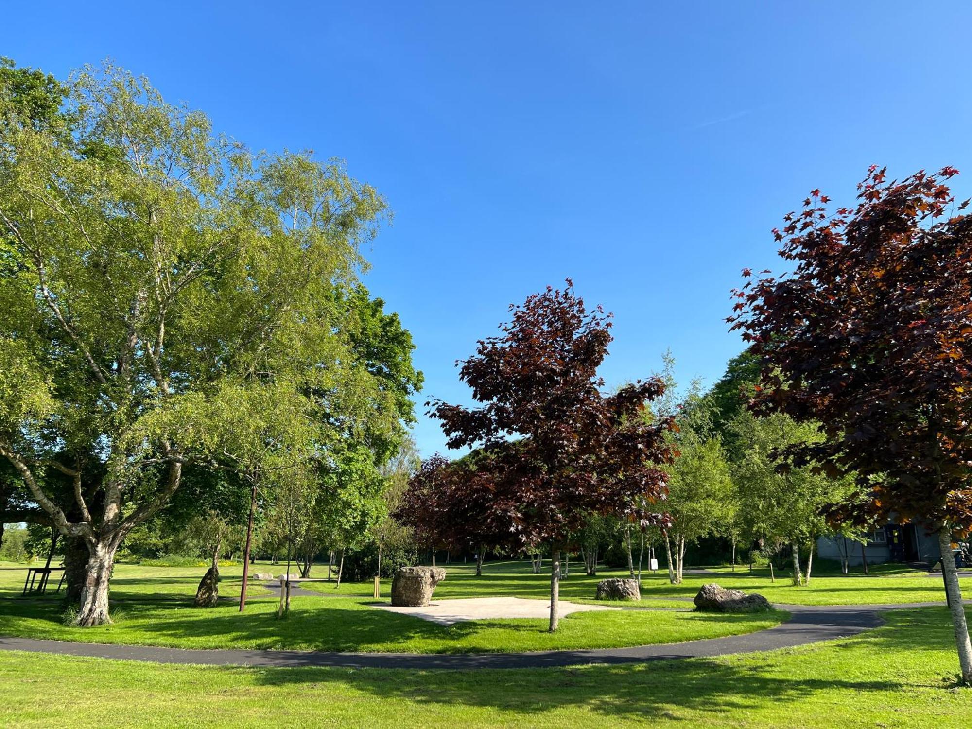 'Maigue View' By The River Croom Exteriér fotografie