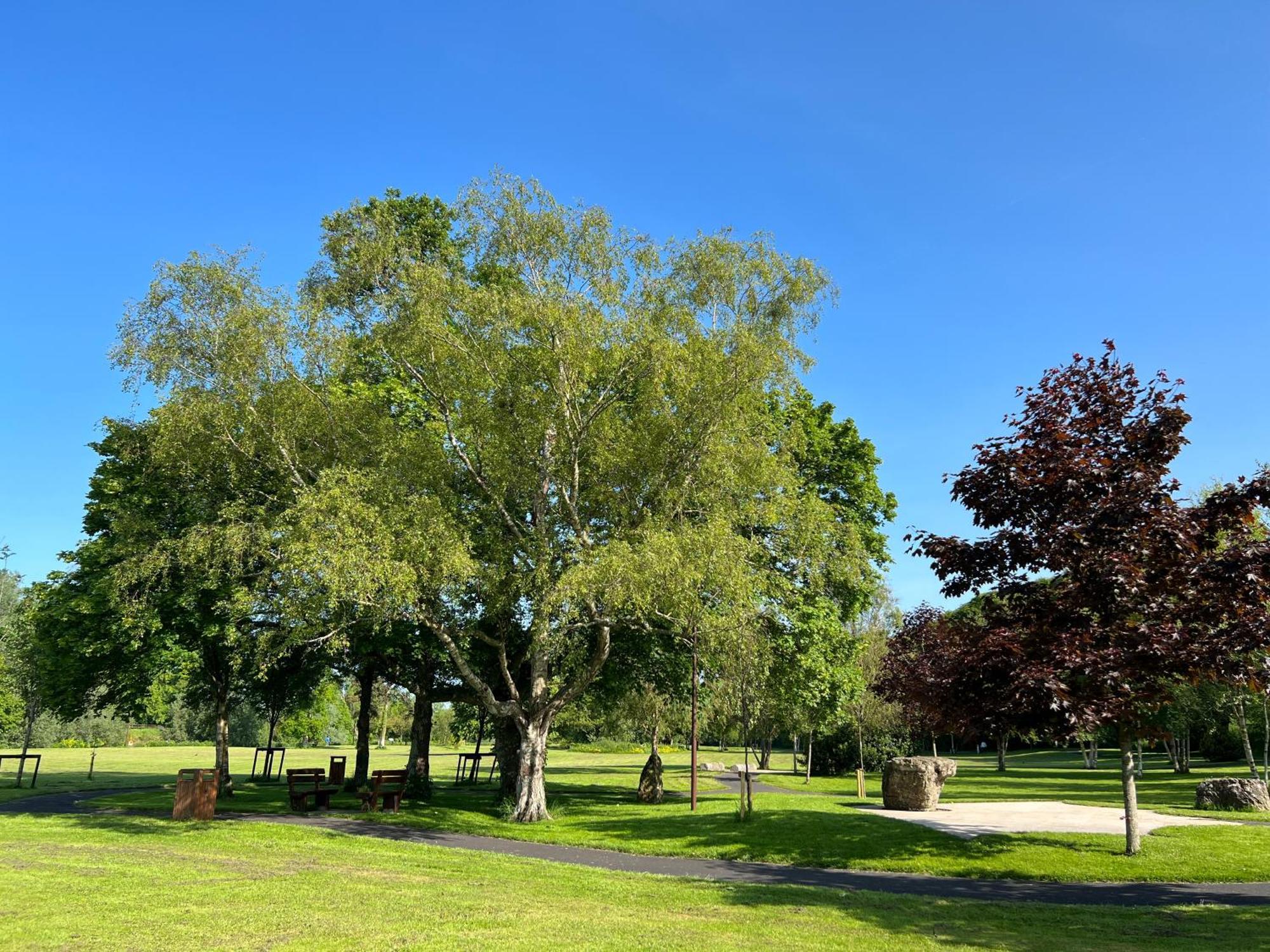 'Maigue View' By The River Croom Exteriér fotografie