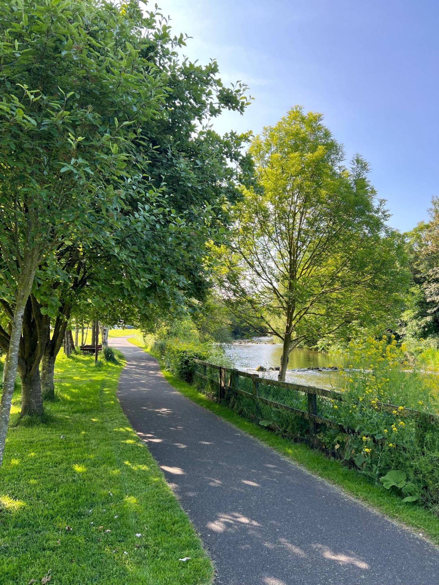 'Maigue View' By The River Croom Exteriér fotografie